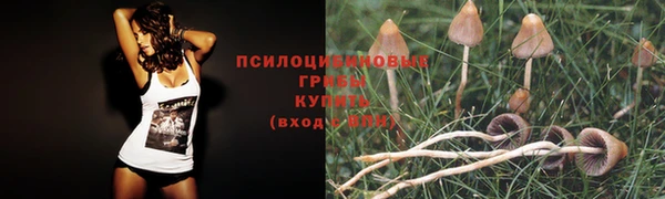 мяу мяу мука Алексеевка