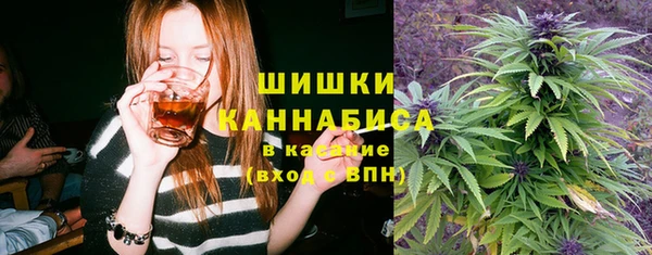 ешки Алзамай
