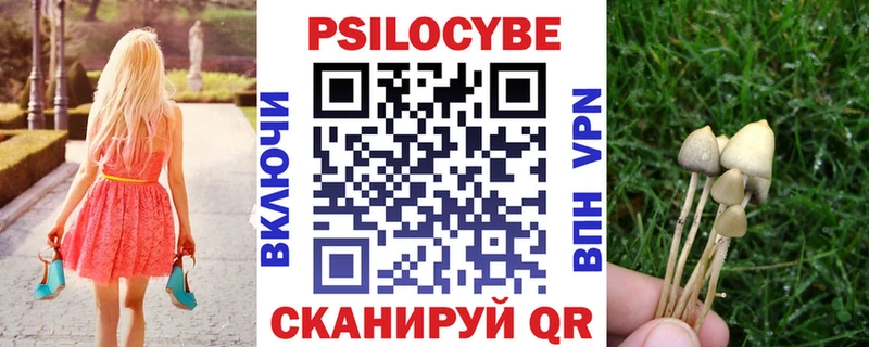 Галлюциногенные грибы Magic Shrooms  blacksprut ссылка  Тайшет 