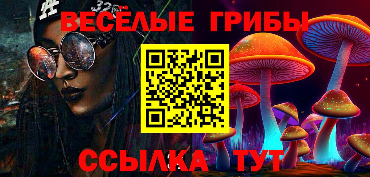 Тайшет  Галлюциногенные грибы Cubensis  Вход с VPN 